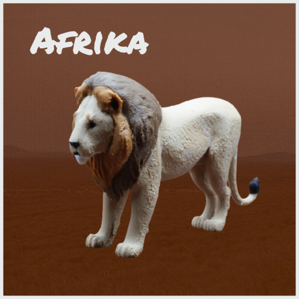 Afrikanischer Löwe