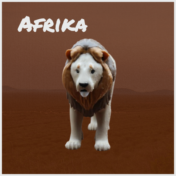 Afrikanischer Löwe – Bild 2