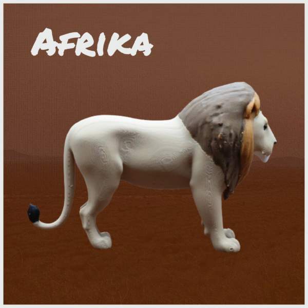 Afrikanischer Löwe – Bild 3