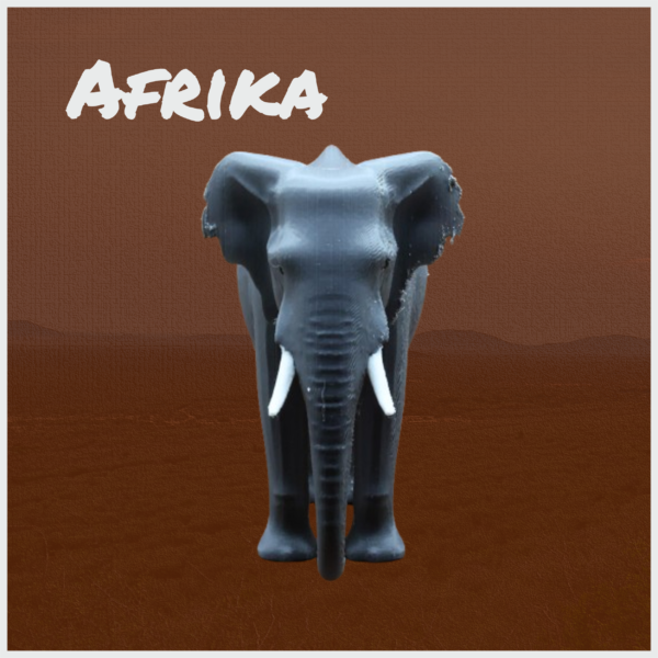 Afrikanischer Elefant – Bild 2