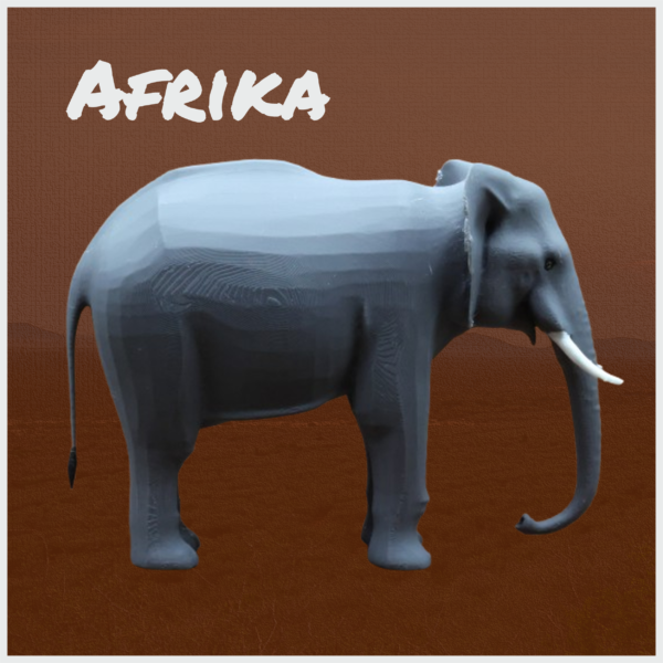 Afrikanischer Elefant – Bild 3